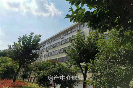 龙都龙都容郡3室2厅2卫101.9万148m2出售